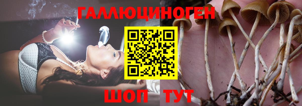 магазин    Вход с VPN  Северск  Галлюциногенные грибы ЛСД 